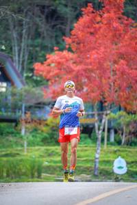 BIB: 8145, 
                            <button type="button" onclick="openModal(19239301)" class="btn btn-primary btn-sm float-right btn-popup" data-toggle="modal" data-target=".modal-high-quality">
                        <i class="fas fa-shopping-cart"></i> Add to Cart
                    </button>
                                            <button type="button" onclick="isThisMe(19239301, true)" class="btn btn-success btn-sm float-right btn-popup btn-isme hidden" data-toggle="tooltip" data-placement="bottom" title="นี่คือรูปของคุณใช่ไหม คลิกที่นี่เพื่อเอาเข้าอัลบั้ม">
                        <i class="fas fa-plus"></i> Add to album
                    </button>
                    <button type="button" onclick="isThisMe(19239301, false)" class="btn btn-warning btn-sm float-right btn-popup btn-isnotme hidden">
                        <i class="fas fa-ban"></i> Remove from album
                    </button>